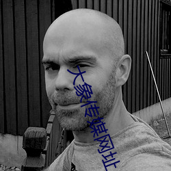 大象传媒网址