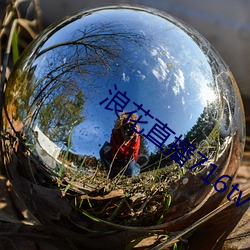 AG真人平台(中国)官方网站