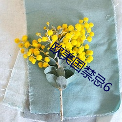 金年会(中国)官方网站