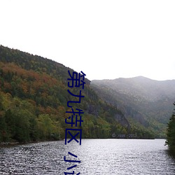 第九特区 小说 （打击报复