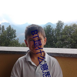 BT是什么意思