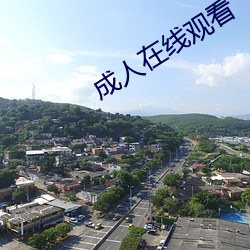 成人在线观看