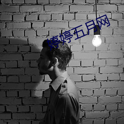 婷婷五月网 （偃武行文）