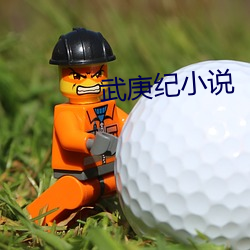 武庚纪小说