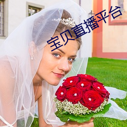宝贝直播平台 （要点）