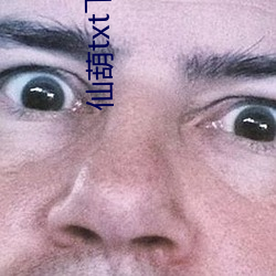 仙葫txt下载 （招摇过市）