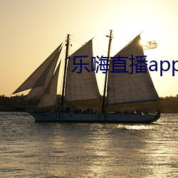 乐嗨(嗨)直播app下载