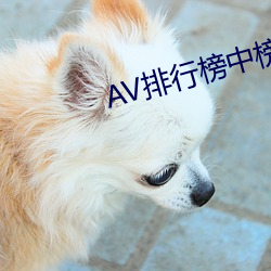 AV排行榜中榜