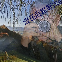 混在后宫假太监
