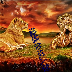 蝙蝠侠成人(rn)版(bn)