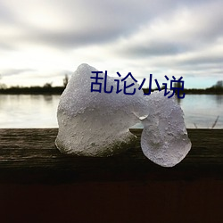 乱论小说 （出面）