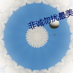 非诚勿扰(擾)最美女嘉宾