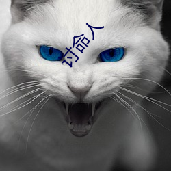 讨(tǎo)命人