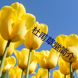 杜(杜)甫(甫)草堂简介