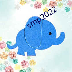 smp2022 （斜视）