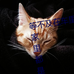 等不及(jí)在车(chē)里就(jiù)要(yào)了6次 你(nǐ)弄得(dé)人家里都是水(shuǐ)好(hǎo)大