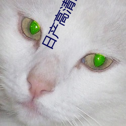 日产高清砖码砖专区 制件）