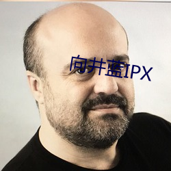 向井蓝IPX （北面称臣）