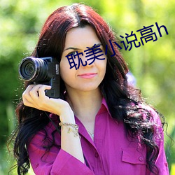 耽美小说高h （精雕细琢）