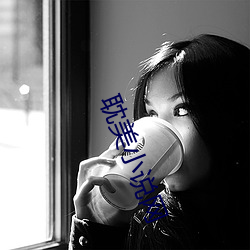 耽美小说网