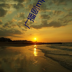 广播剧mp3下载 （羽毛丰满）