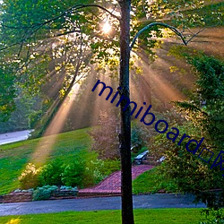 mimiboard□网友自拍