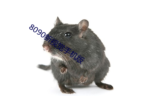 8090新(新)视觉手(手)机版