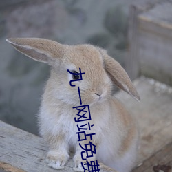 金年会(中国)官方网站