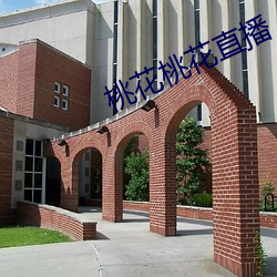 桃(桃)花桃花(花)直(直)播