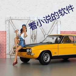 看小(xiǎo)说(shuō)的软(ruǎn)件