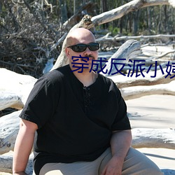 穿(穿)成(成)反派(派)小姨妈