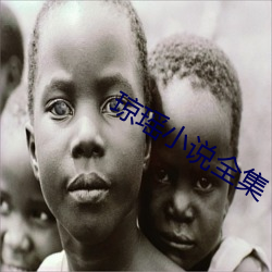 琼(瓊)瑶小说(說)全集