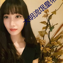 大明流氓(máng)皇帝