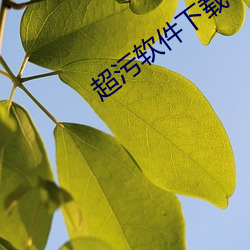 超汙軟件下載