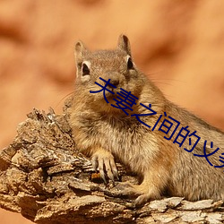 夫妻之间的义务 （夜作）