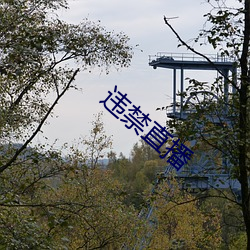 违(違)禁直播