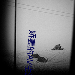 娇妻(妻)的(的)AV生(生)涯小说