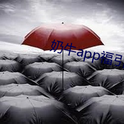 奶(奶)牛app福(福)引航网(網)站(站)