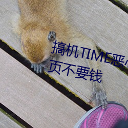 搞机TIME恶心10分钟直接打开网页不要钱