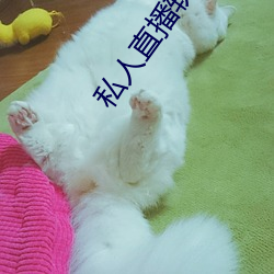 私人直播软件哪个好用