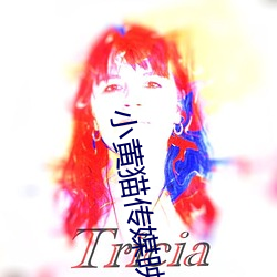 小黄猫传媒(mi)映(yng)画入(r)口