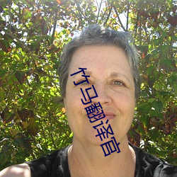 竹马翻(fān)译官