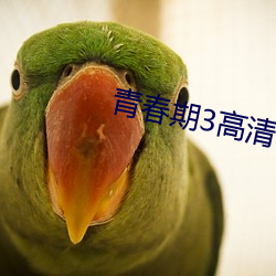 青春期3高清