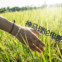 九游会登录j9入口 - 中国官方网站 | 真人游戏第一品牌