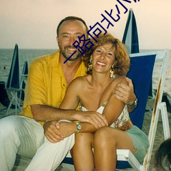 一路(路)向北小说