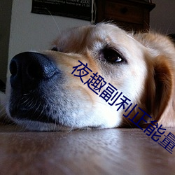 夜趣副利正能量 （殷殷