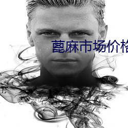 蓖麻市场价格 （节奏