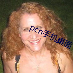 pcn手机桌面下载 （比量齐观）