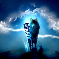 婚纱成人小说