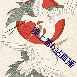晚上看b站(zhàn)直播